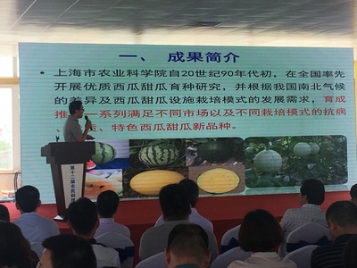 浦東第十二屆農民科技節開幕，初夏時節聚焦農業信息咨詢